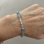 Professional Model Wrist Shot