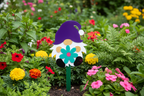 Purple Hat Gnome in Garden