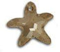 Swarovski 20mm Starfish Pendant - Crystal Golden Shadow (1pc) - Too Cute Beads