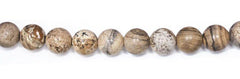 12mm Picture Jasper Round with 2.5mm Hole (aprox 16) - Too Cute Beads