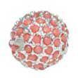 Pave Bead 12mm Sterling Silver Plate - Coral (1 Piece)